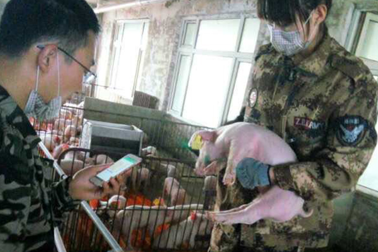 170018880572360